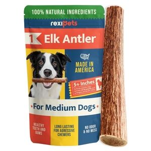 Elk Antler for Medium Dogs Natural Brown